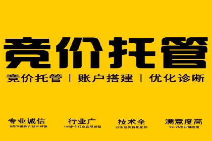医疗行业SEM推广的成功与挑战